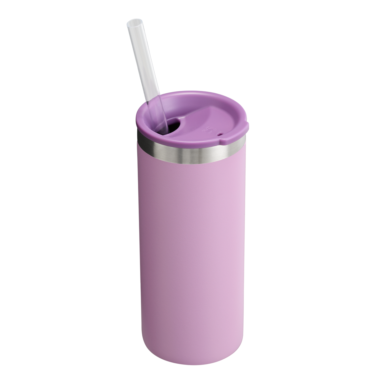 The Everyday Slim Can Cooler Cup